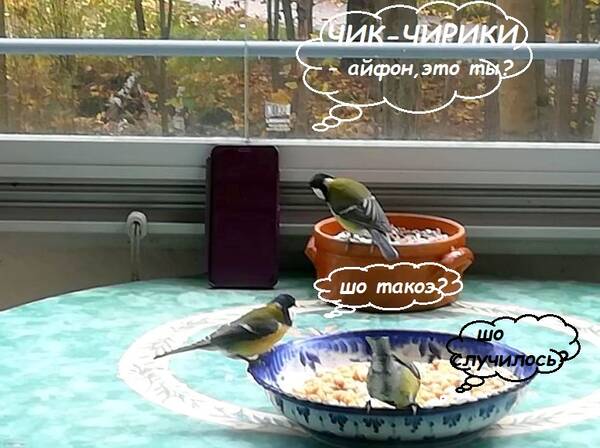 http://upforme.ru/uploads/000f/a0/99/259/t612009.jpg