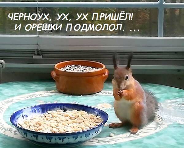 http://upforme.ru/uploads/000f/a0/99/259/t675233.jpg