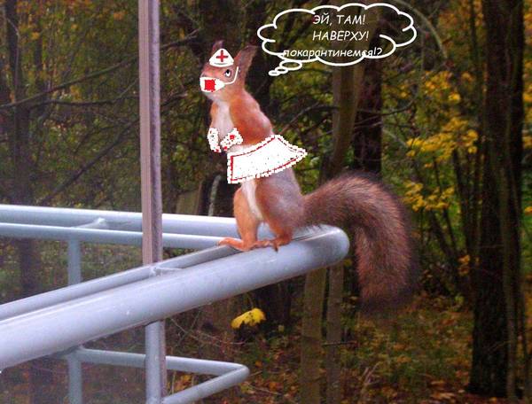 http://upforme.ru/uploads/000f/a0/99/259/t71667.jpg