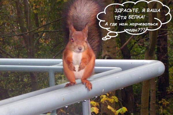 http://upforme.ru/uploads/000f/a0/99/259/t746906.jpg
