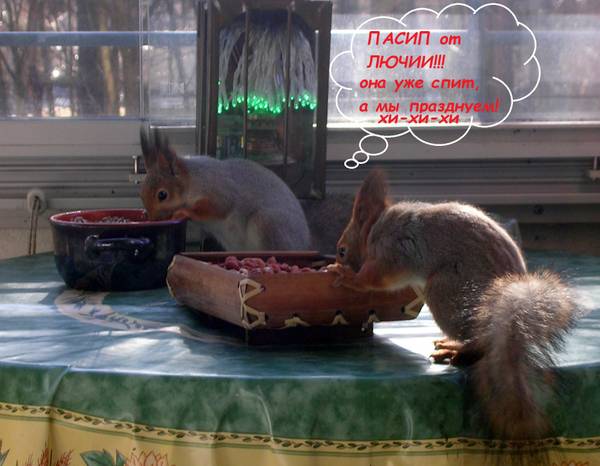 http://upforme.ru/uploads/000f/a0/99/259/t77256.jpg