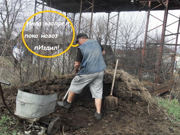 http://upforme.ru/uploads/000f/a0/99/259/t845231.jpg