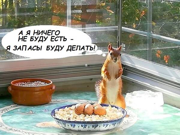 http://upforme.ru/uploads/000f/a0/99/259/t938886.jpg