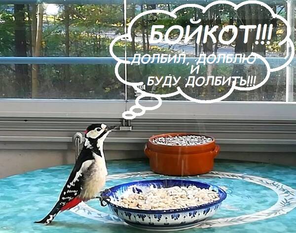 http://upforme.ru/uploads/000f/a0/99/259/t970103.jpg