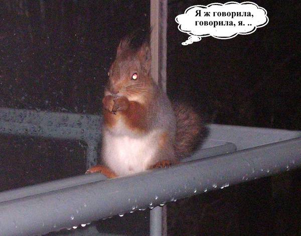http://upforme.ru/uploads/000f/a0/99/259/t975586.jpg