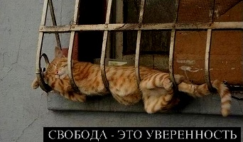 http://upforme.ru/uploads/000f/a0/99/390/158620.jpg