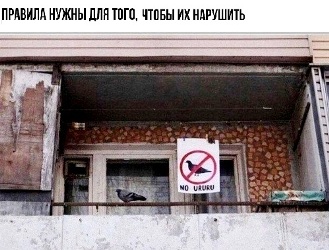 http://upforme.ru/uploads/000f/a0/99/390/208944.jpg
