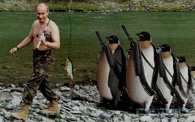 http://upforme.ru/uploads/000f/a0/99/390/271966.jpg