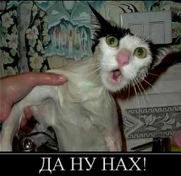 http://upforme.ru/uploads/000f/a0/99/390/273741.jpg