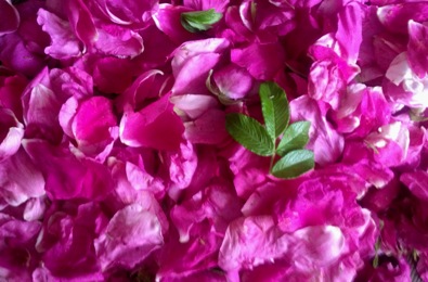 http://upforme.ru/uploads/000f/a0/99/390/332579.jpg