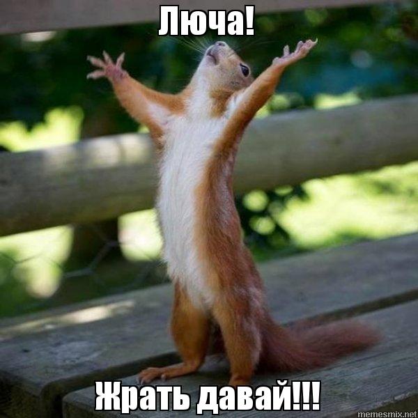 http://upforme.ru/uploads/000f/a0/99/472/t395061.jpg