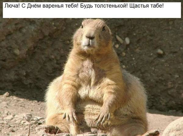 http://upforme.ru/uploads/000f/a0/99/472/t93156.jpg