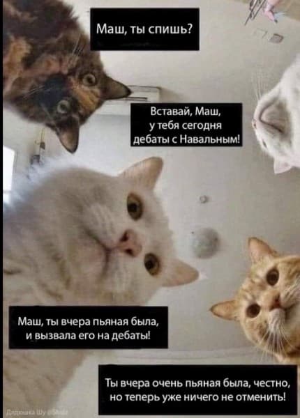 http://upforme.ru/uploads/000f/a0/99/91/450360.jpg