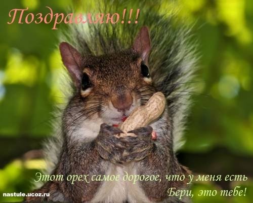 http://upforme.ru/uploads/000f/a0/99/91/46543.jpg