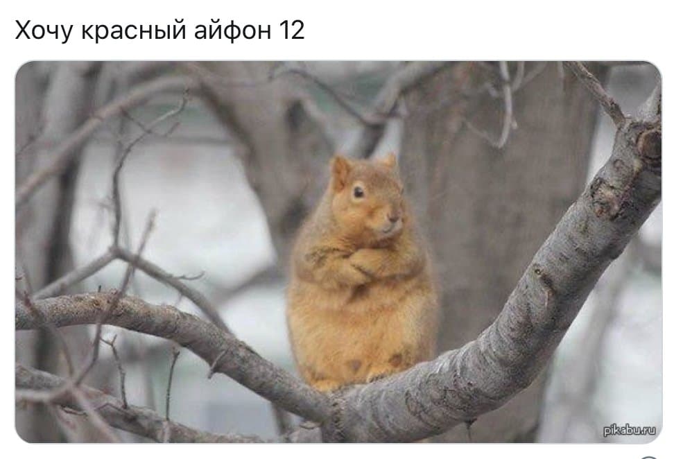 http://upforme.ru/uploads/000f/a0/99/91/754441.jpg