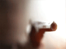 http://upforme.ru/uploads/000f/a5/7f/12273-1.gif