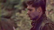 http://upforme.ru/uploads/000f/a5/7f/15718-1.gif