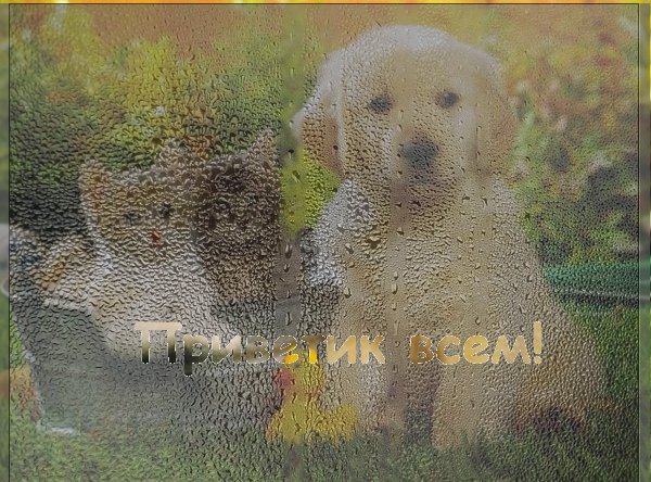 http://upforme.ru/uploads/000f/a7/58/4631-1-f.jpg