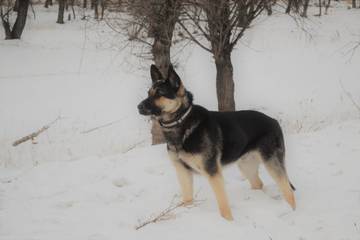 http://upforme.ru/uploads/000f/ac/a1/408/t39177.jpg