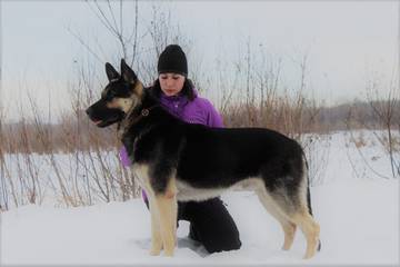 http://upforme.ru/uploads/000f/ac/a1/408/t61067.jpg
