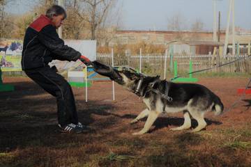 http://upforme.ru/uploads/000f/ac/a1/408/t67461.jpg