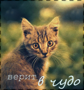 http://upforme.ru/uploads/000f/b3/8c/14652-1.png