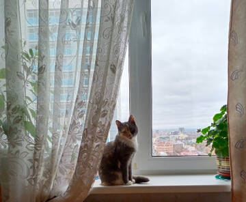 http://upforme.ru/uploads/000f/b9/e8/11/t31615.jpg