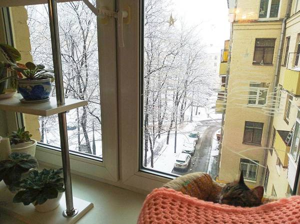 http://upforme.ru/uploads/000f/b9/e8/2/t38936.jpg