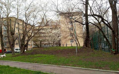 http://upforme.ru/uploads/000f/b9/e8/2/t436337.jpg