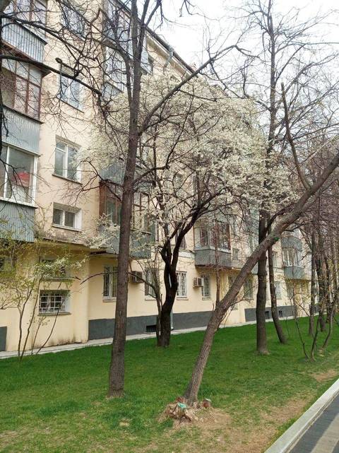 http://upforme.ru/uploads/000f/b9/e8/2/t700236.jpg