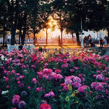 http://upforme.ru/uploads/000f/b9/e8/249/t959984.jpg