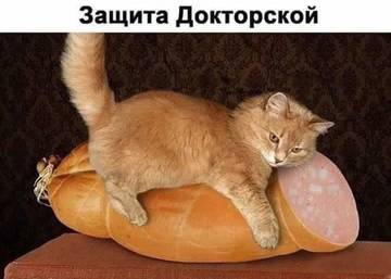 http://upforme.ru/uploads/000f/b9/e8/27/t138326.jpg