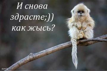 http://upforme.ru/uploads/000f/b9/e8/3/t48716.jpg