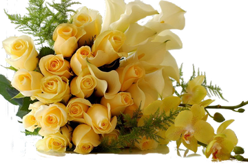 http://upforme.ru/uploads/000f/b9/e8/3/t570455.png