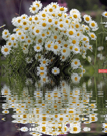 http://upforme.ru/uploads/000f/b9/e8/3/t692876.gif
