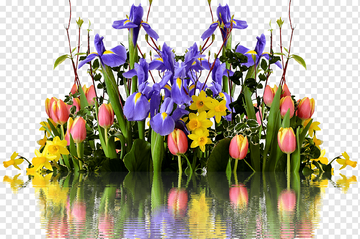 http://upforme.ru/uploads/000f/b9/e8/3/t812939.png
