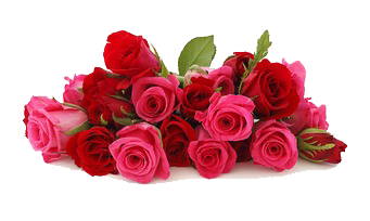 http://upforme.ru/uploads/000f/b9/e8/3/t911301.png