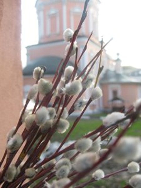 http://upforme.ru/uploads/000f/b9/e8/7/456779.jpg