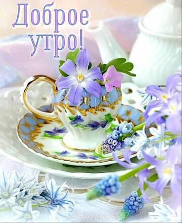 http://upforme.ru/uploads/000f/b9/e8/7/t117561.jpg