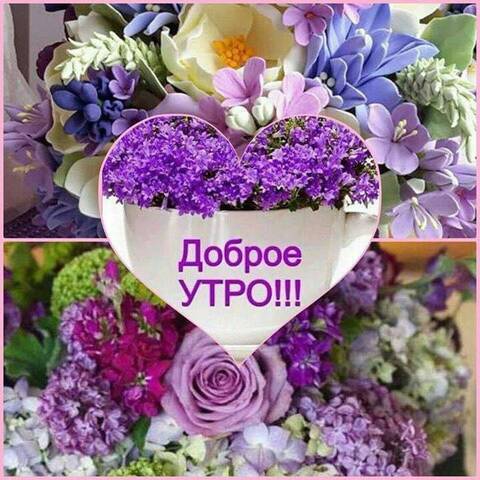 http://upforme.ru/uploads/000f/b9/e8/7/t396233.jpg