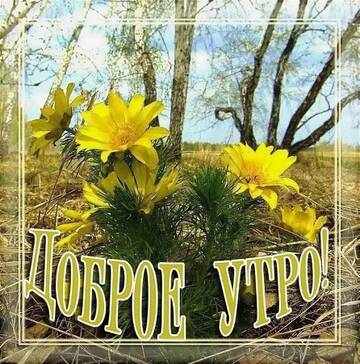 http://upforme.ru/uploads/000f/b9/e8/7/t930860.jpg
