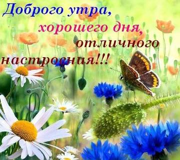 http://upforme.ru/uploads/000f/b9/e8/7/t975241.jpg