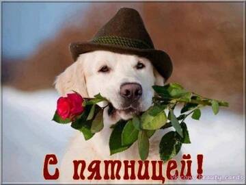 http://upforme.ru/uploads/000f/b9/e8/7/t982455.jpg