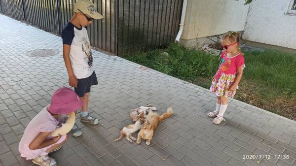 http://upforme.ru/uploads/000f/b9/e8/8/t780482.jpg