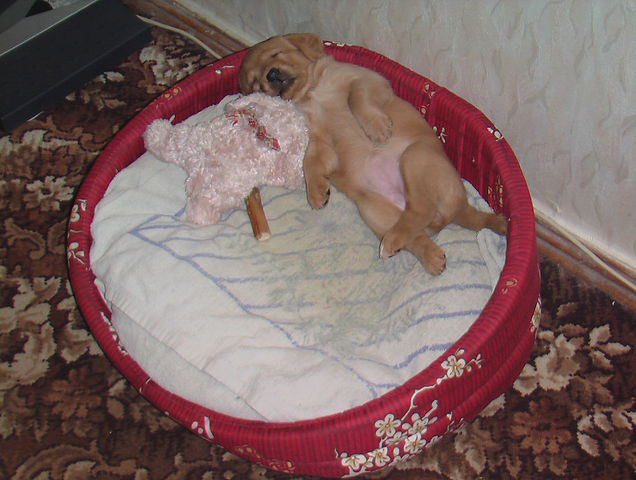 http://upforme.ru/uploads/000f/de/4b/58-1-f.jpg