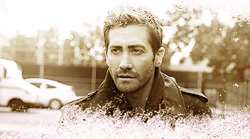 http://upforme.ru/uploads/000f/e6/d5/13735-2.jpg