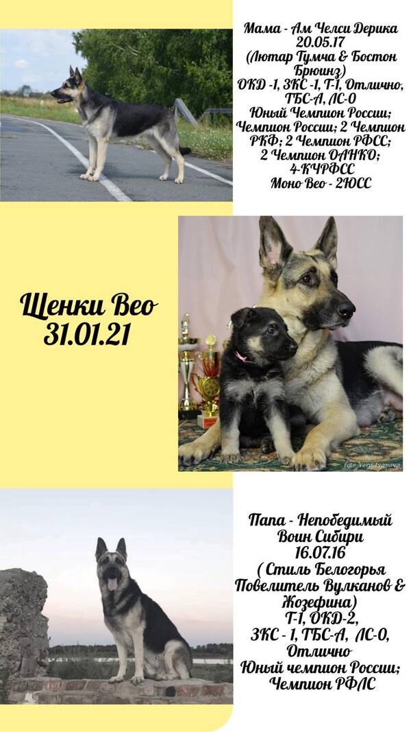 http://upforme.ru/uploads/000f/ef/c6/15/t263183.jpg