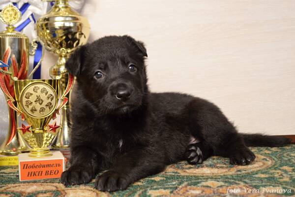 http://upforme.ru/uploads/000f/ef/c6/15/t663532.jpg