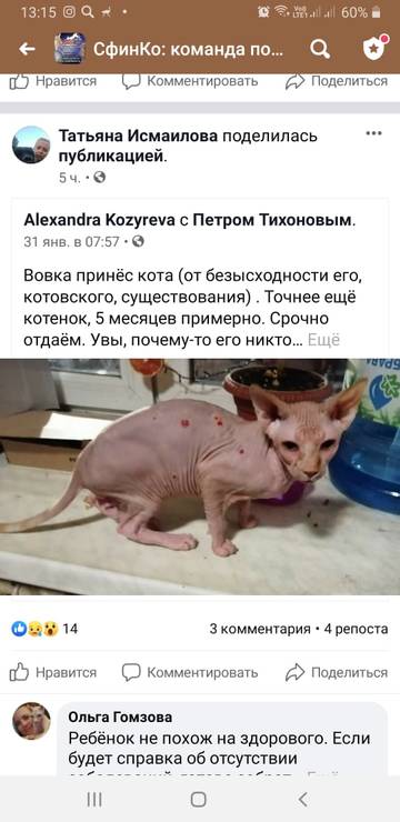 http://upforme.ru/uploads/000f/f6/ce/6/t20980.jpg