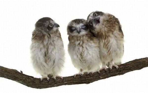 http://upforme.ru/uploads/0010/04/81/1072-2-f.jpg